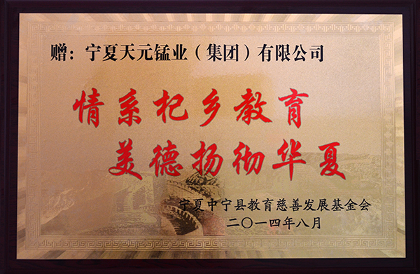 2014中宁县教育慈善发展基金会 (10).JPG