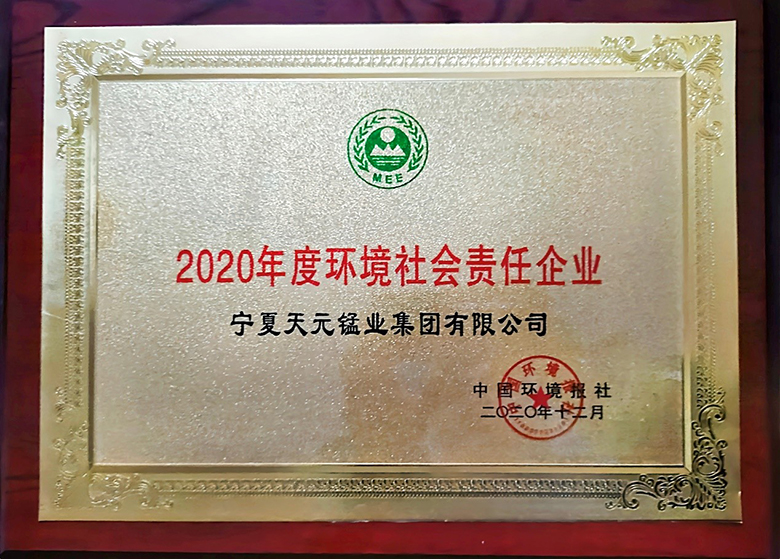 “2020年度环境社会责任企业”榜单揭晓 集团凭借强大的环保实力再获大奖